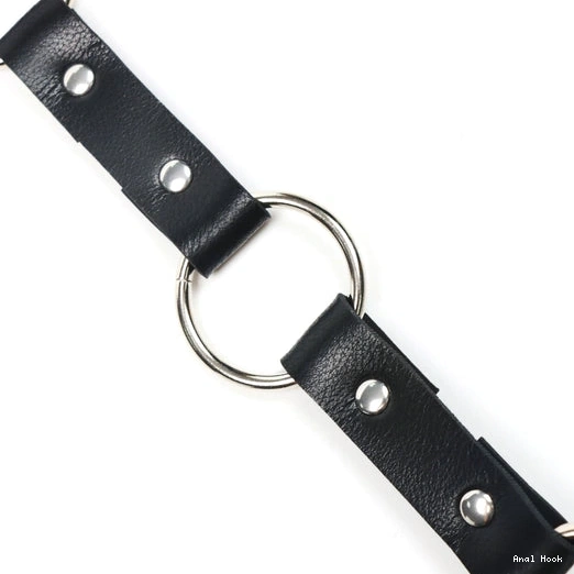 and EverydayUse 5853 Leash with Anal Collar Kinky Hook 1204